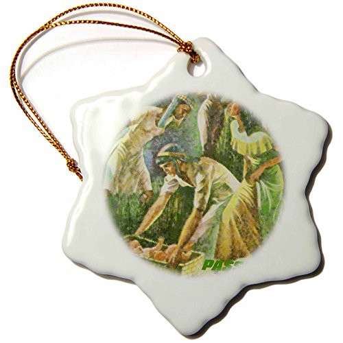 3dRose ORN_37410_1 Moses in Basket Passover Scene Snowflake Porcelain Ornament, 3-Inch