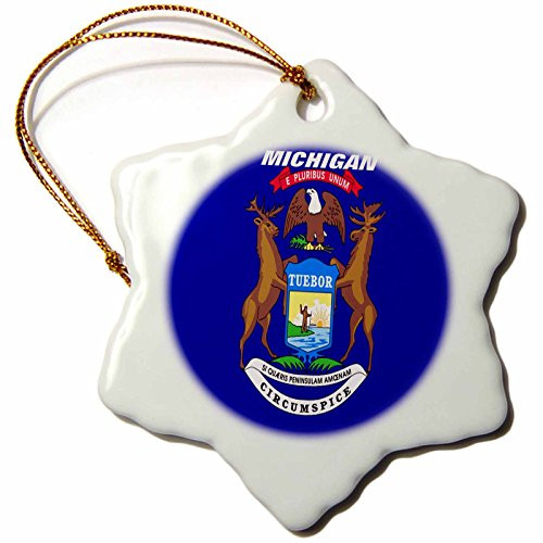 3dRose ORN_45016_1 State Flag of Michigan Snowflake Porcelain Ornament, 3-Inch