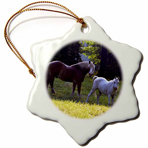 3dRose ORN_53651_1 Brown Horse and White Horse Snowflake Porcelain Ornament, 3-Inch 3dRose ORN_53651_1 Brown Horse and White Horse Snowflake Porcelain Ornament, 3-Inch
