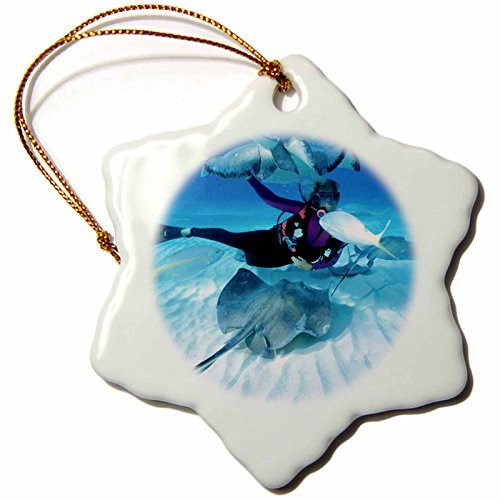 3dRose orn_75175_1 Snorkeling Stingray City Grand Cayman Caribbean Greg Johnston Snowflake Decorative Hanging Ornament, Porcelain, 3-Inch