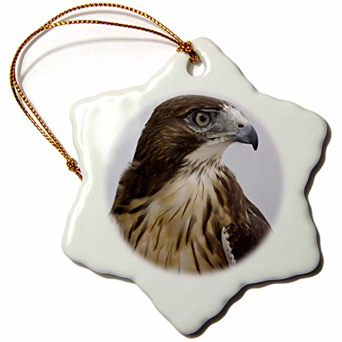 3dRose LLC ORN_87385_1 Porcelain Snowflake Ornament, 3-Inch, USA, Alaska, Ketchikan Red-Jaynes Gallery