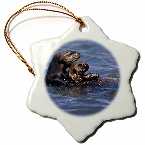 3dRose ORN_88467_1 California Sea Otter, Moss Landing, California-US05 JGS0199-Jim Goldstein-Snowflake Ornament, Porcelain, 3-Inch