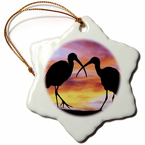 3dRose ORN_89102_1 Florida, Mt. Dora, ibis Bird Silhouettes - US10 DSN0012 - Deborah Sandidge - Snowflake Ornament, Porcelain, 3-Inch 3dRose ORN_89102_1 Florida, Mt. Dora, ibis Bird Silhouettes - US10 DSN0012 - Deborah Sandidge - Snowflake Ornament, Porcelain, 3-Inch