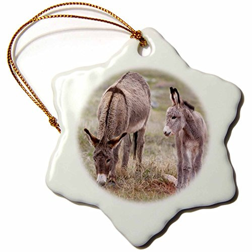 3dRose ORN_92835_1 South Dakota, Custer SP, Wild Burros, Donkeys-US32 JWI0526-Jamie and Judy Wild-Snowflake Ornament, Porcelain, 3-Inch 3dRose ORN_92835_1 South Dakota, Custer SP, Wild Burros, Donkeys-US32 JWI0526-Jamie and Judy Wild-Snowflake Ornament, Porcelain, 3-Inch
