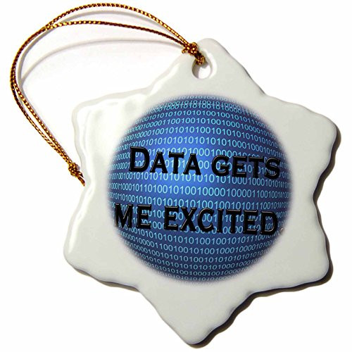 3dRose orn_123987_1 Data Gets Me Excited Mathematician Mathematics Math Teacher Humor Professor Snowflake Ornament Porcelain, 3-Inch