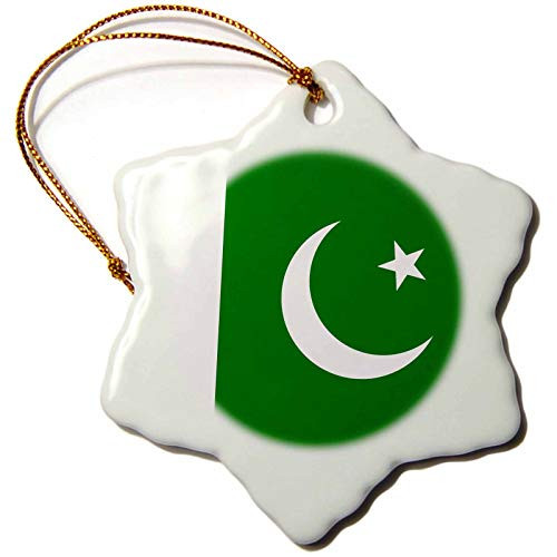 3dRose orn_158405_1 Flag of Pakistan Dark Green with White Crescent Moon and Star Islamic Country Porcelain Snowflake Ornament, 3-Inch