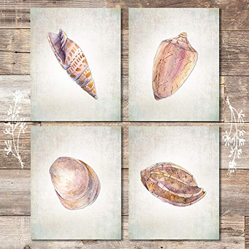 Seashell Decor Art Prints (Set of 4) - Unframed - 8x10s | Beach Wall Decor