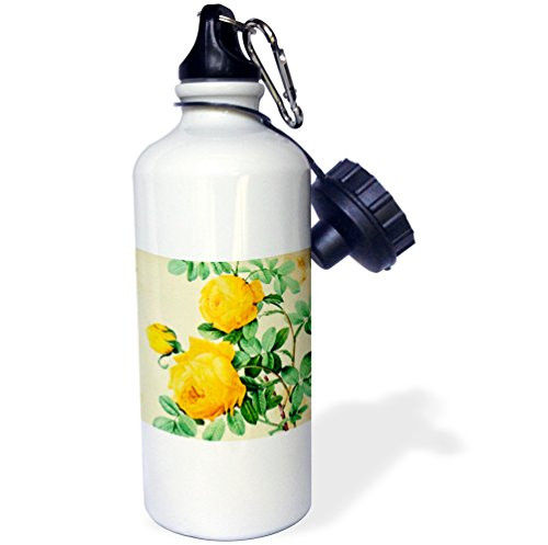 3dRose wb_6391_1"Vintage Yellow Roses Digital Art" Sports Water Bottle, 21 oz, White 3dRose wb_6391_1"Vintage Yellow Roses Digital Art" Sports Water Bottle, 21 oz, White