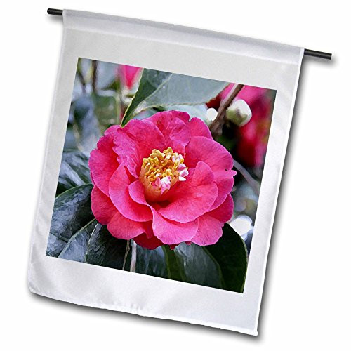 3dRose fl_4188_1 Camellia Japonica Flower, Garden Flag, 12 by 18-Inch