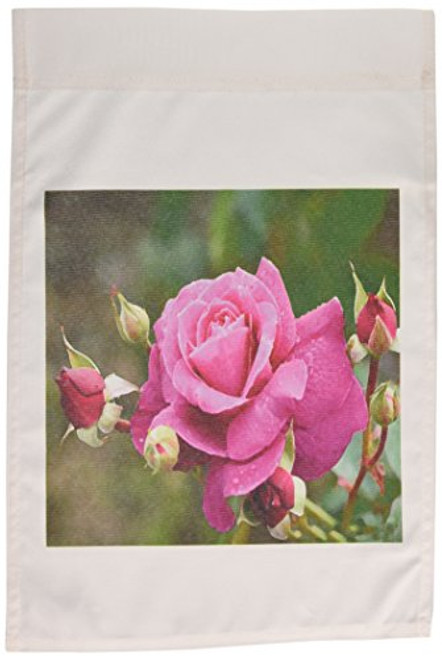 3dRose fl_4361_1 Pink Rose Garden Flag, 12 by 18-Inch 3dRose fl_4361_1 Pink Rose Garden Flag, 12 by 18-Inch