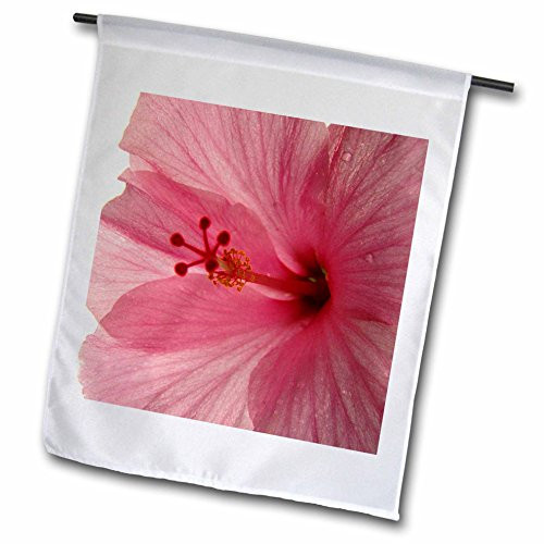 3dRose fl_7826_1 Dewey Pink Hibiscus Garden Flag, 12 by 18-Inch 3dRose fl_7826_1 Dewey Pink Hibiscus Garden Flag, 12 by 18-Inch