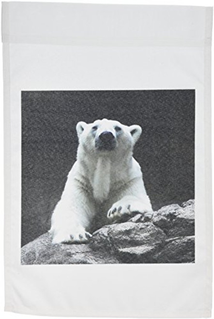 3dRose fl_12207_1 Polar Bear Resting Garden Flag, 12 by 18-Inch 3dRose fl_12207_1 Polar Bear Resting Garden Flag, 12 by 18-Inch