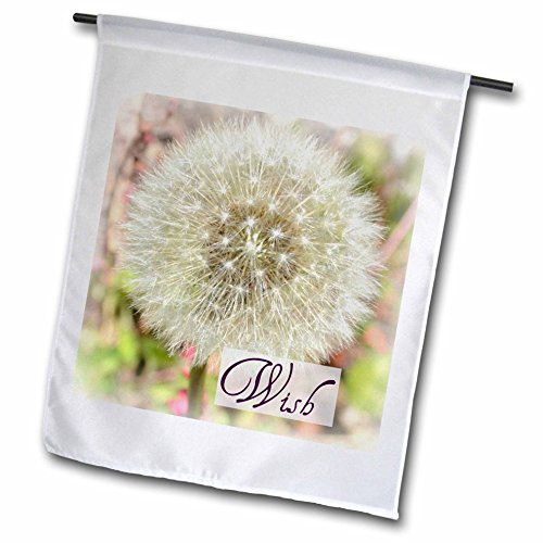 3dRose fl_31469_1 Dandelion Flower Wish inspirational Quotes Flowers Garden Flag, 12 by 18-Inch 3dRose fl_31469_1 Dandelion Flower Wish inspirational Quotes Flowers Garden Flag, 12 by 18-Inch