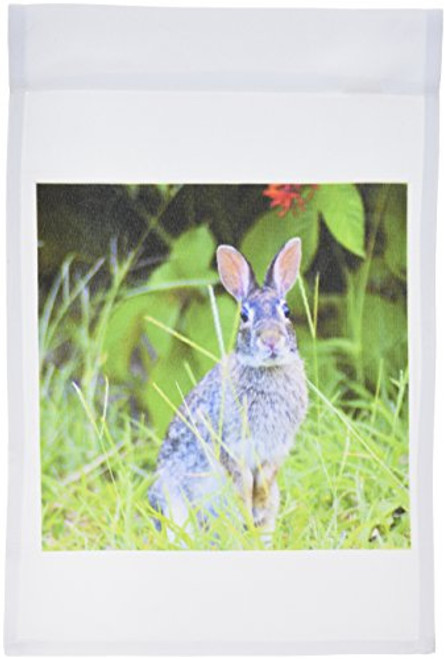 3dRose fl_33131_1 Bunny Pose Garden Flag, 12 by 18-Inch