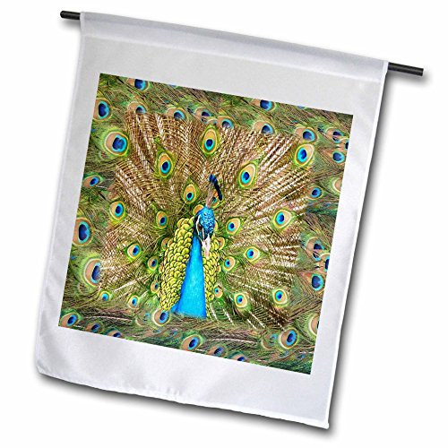 3dRose fl_41699_1 Peacock Head N Peacock Feathers Garden Flag, 12 by 18-Inch