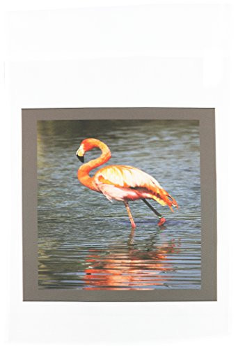 3dRose fl_45001_1 Red Flamingo Garden Flag, 12 by 18-Inch