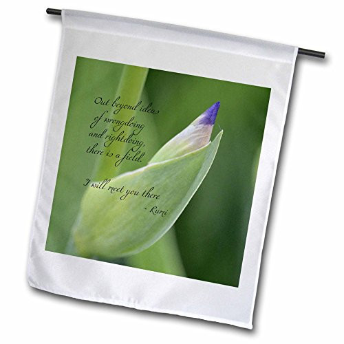 3dRose fl_51374_1 Out Beyond Ideas Rumi Quote-Wisdom-Inspirational-Iris Flower Garden Flag, 12 by 18-Inch