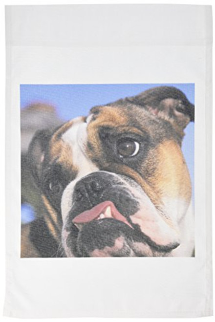 3dRose fl_84121_1 English Bulldog Na02 Mwe0138 Michele Westmorland Garden Flag, 12 by 18-Inch