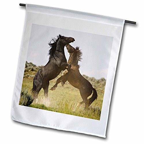 3dRose fl_97466_1 Feral Horses Sagebrush Country Wyoming US51 Ldi0057 Larry Ditto Garden Flag, 12 by 18-Inch
