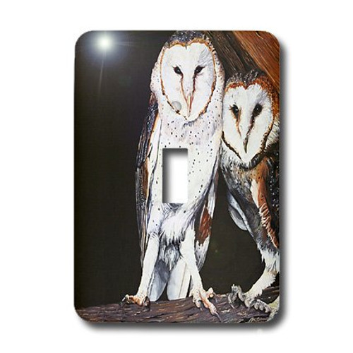 3dRose lsp_3210_1 BARN OWLS Single Toggle Switch 3dRose lsp_3210_1 BARN OWLS Single Toggle Switch