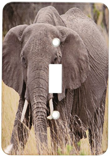 3dRose Lsp_9895_1 African Elephant, Loxodonta Africana, Masai Mara National Park Kenya Africa Single Toggle Switch 3dRose Lsp_9895_1 African Elephant, Loxodonta Africana, Masai Mara National Park Kenya Africa Single Toggle Switch
