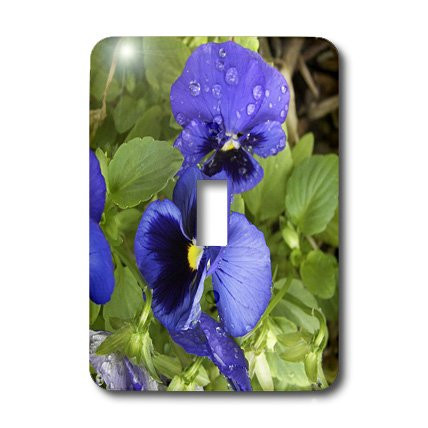 3dRose LLC lsp_20091_1 Pansy Blues Wet Single Toggle Switch