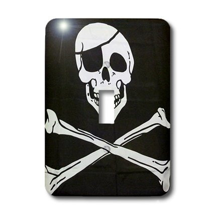 3dRose LLC lsp_23960_1 Ex Pirate, Single Toggle Switch