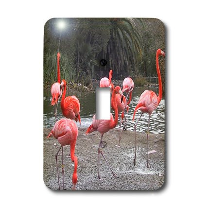 3dRose lsp_25785_1 Flamingos III Toggle Switch Multi-Color
