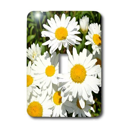 3dRose lsp_27931_1 Daisies in Summer Floral Toggle Switch, Multi-Color