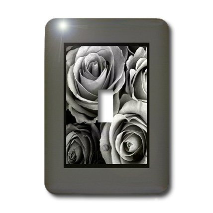 3dRose lsp_29963_1 Silver Roses Surrounded by a Rich Gray Frame Toggle Switch