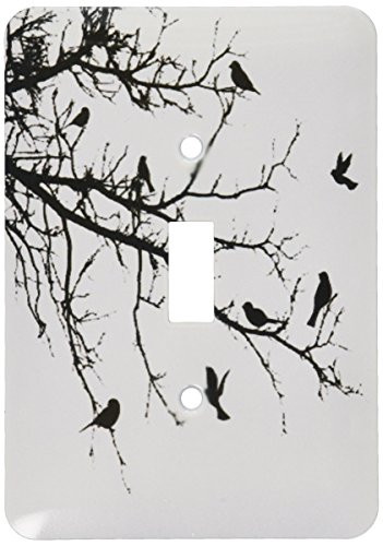 3dRose lsp_38362_1 Birds On Branches Single Toggle Switch