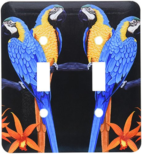 3dRose lsp_3213_2 BLUE GOLD MACAWS Double Toggle Switch
