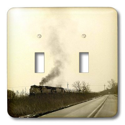 3dRose LLC lsp_12232_2 Smoking Train in Sepia Double Toggle Switch