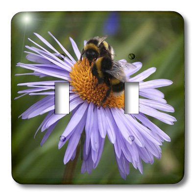 3dRose lsp_12968_2 Light Purple Flower with Bee Double Toggle Switch