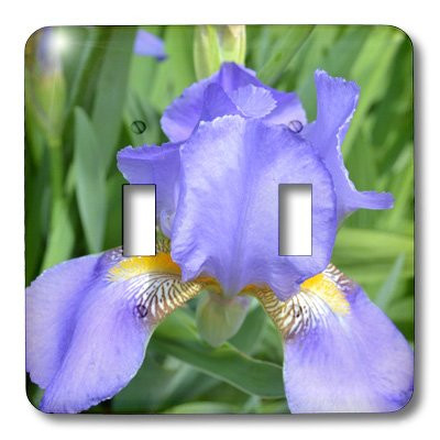 3dRose lsp_27841_2 Purple Iris Toggle Switch Multi-Color