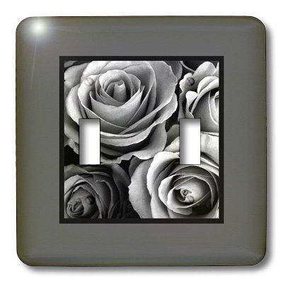 3dRose lsp_29963_2 Silver Grey Roses Surrounded By A  Rich Grey Frame Double Toggle Switch