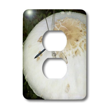 3dRose lsp_19159_6 Blue Dragonfly On Mushroom 2 Plug Outlet Cover