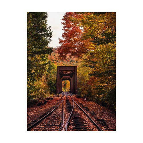 Trademark Fine Art New England Train Trestle Bridge by Bruce Gett, 18x24