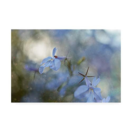 Trademark Fine Art 1X09915-C1624GG Lady by Heidi Westum, 16x24, Multiple