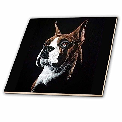 3dRose ct_1059_2 Boxer Ceramic Tile, 6-Inch
