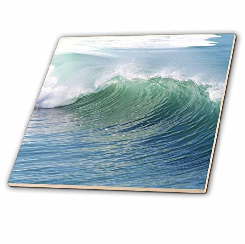 3dRose ct_50878_3 Breaking Waves Ceramic Tile, 8-Inch