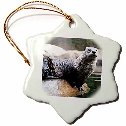 3dRose ORN_1019_1 Otter Snowflake Porcelain Ornament, 3-Inch
