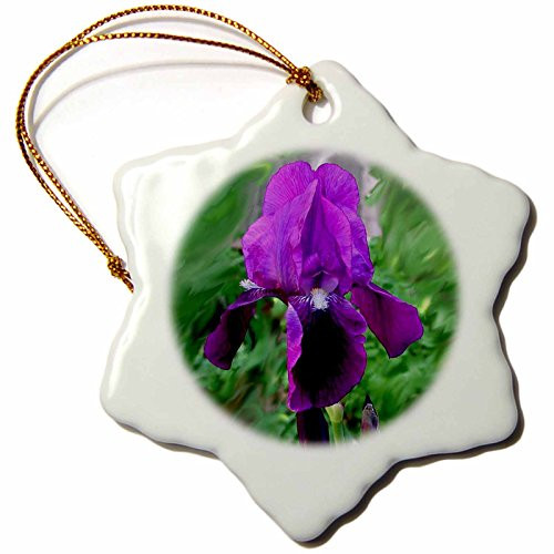 3dRose LLC orn_1235_1 Purple Iris Snowflake Porcelain Hanging Ornament, 3-Inch