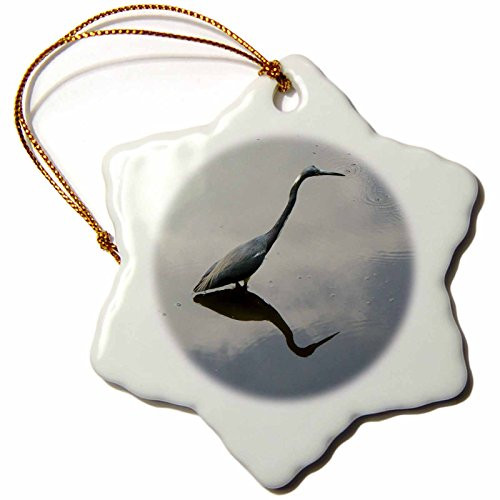 3dRose orn_7348_1 Blue Heron Reflects Porcelain Snowflake Ornament, 3-Inch