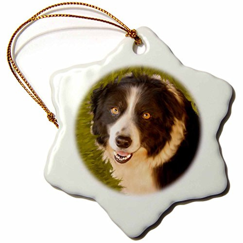 3dRose orn_11977_1 Border Collie Porcelain Snowflake Ornament, 3-Inch