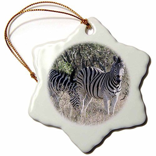 3dRose ORN_20113_1 South African 2 Zebras Front View Snowflake Ornament, Porcelain, 3-Inch