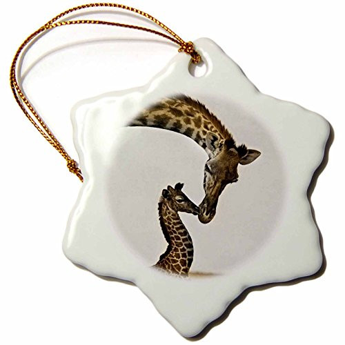 3dRose LLC orn_22238_1 Giraffe Mama and Baby Snowflake Porcelain Hanging Ornament, 3-Inch 3dRose LLC orn_22238_1 Giraffe Mama and Baby Snowflake Porcelain Hanging Ornament, 3-Inch