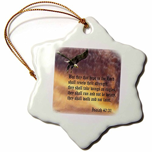 3dRose ORN_27419_1 Isaiah 40-31 Bible Verse with Eagle Against a Troubled Sky-Snowflake Ornament, Porcelain, 3-Inch 3dRose ORN_27419_1 Isaiah 40-31 Bible Verse with Eagle Against a Troubled Sky-Snowflake Ornament, Porcelain, 3-Inch