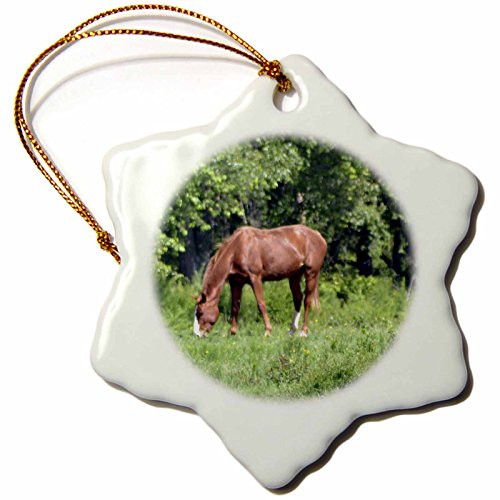 3dRose orn_52652_1 A Horse Grazing Snowflake Porcelain Ornament, 3-Inch 3dRose orn_52652_1 A Horse Grazing Snowflake Porcelain Ornament, 3-Inch