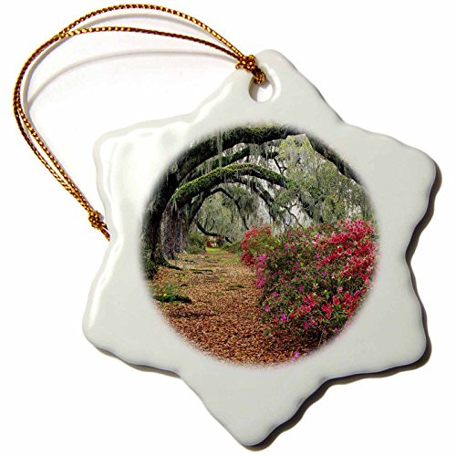 3dRose orn_56086_1 Moss Covered Trees in Charleston Garden South Carolina Snowflake Decorative Hanging Ornament, Porcelain, 3-Inch